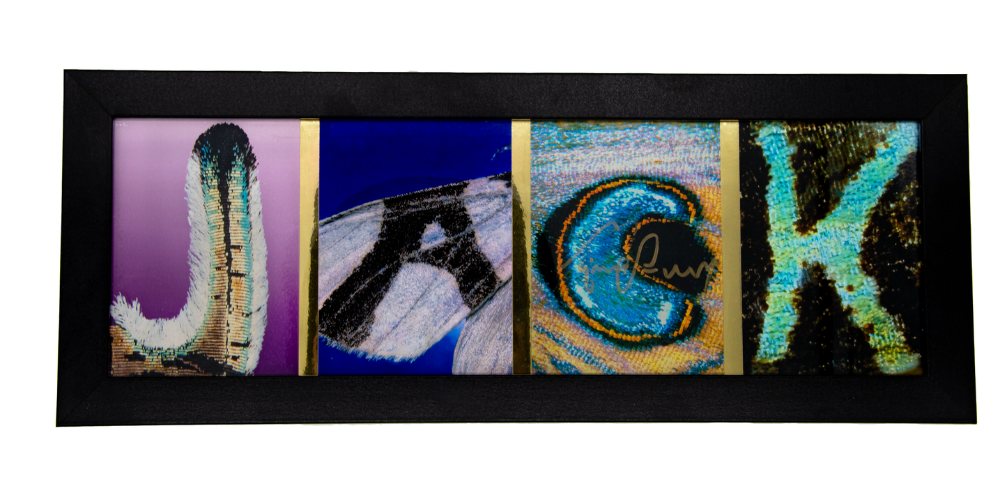 Custom Butterfly Name Art