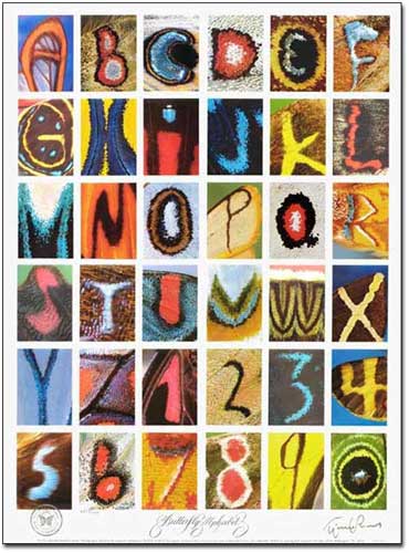 Butterfly Alphabet Poster Gold Edition