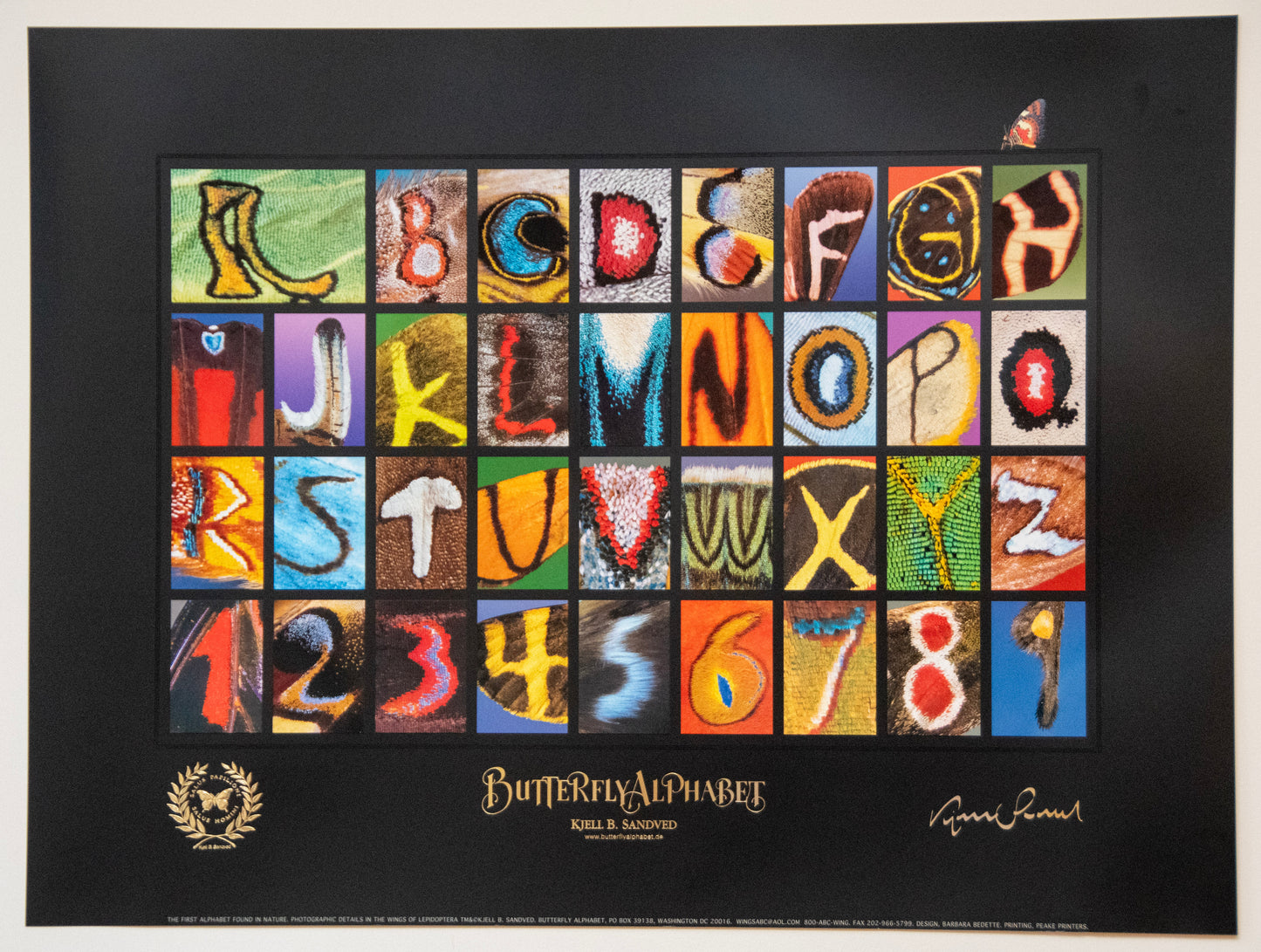 Butterfly Alphabet Poster - Horizontal Black