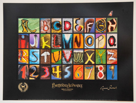 Butterfly Alphabet Poster - Horizontal Black