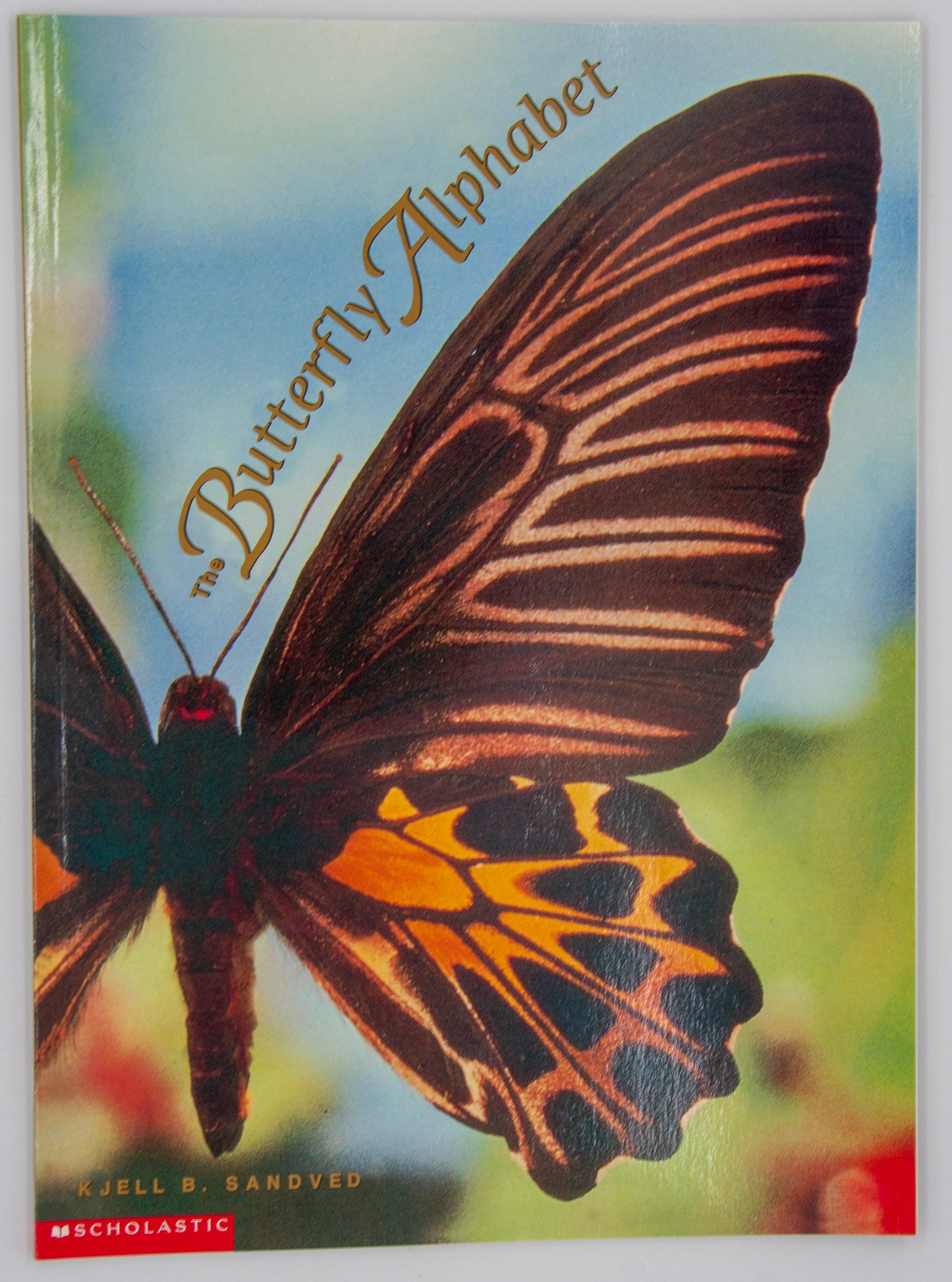 The Butterfly Alphabet Book